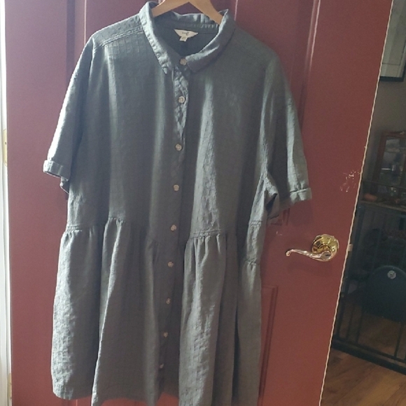 Terra & Sky Charcoal Button-Down Mini Dress - Picture 2 of 9